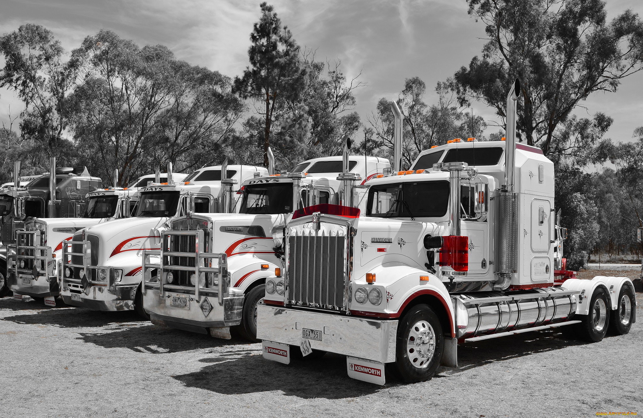 kenworths, , kenworth, truck, company, , , 